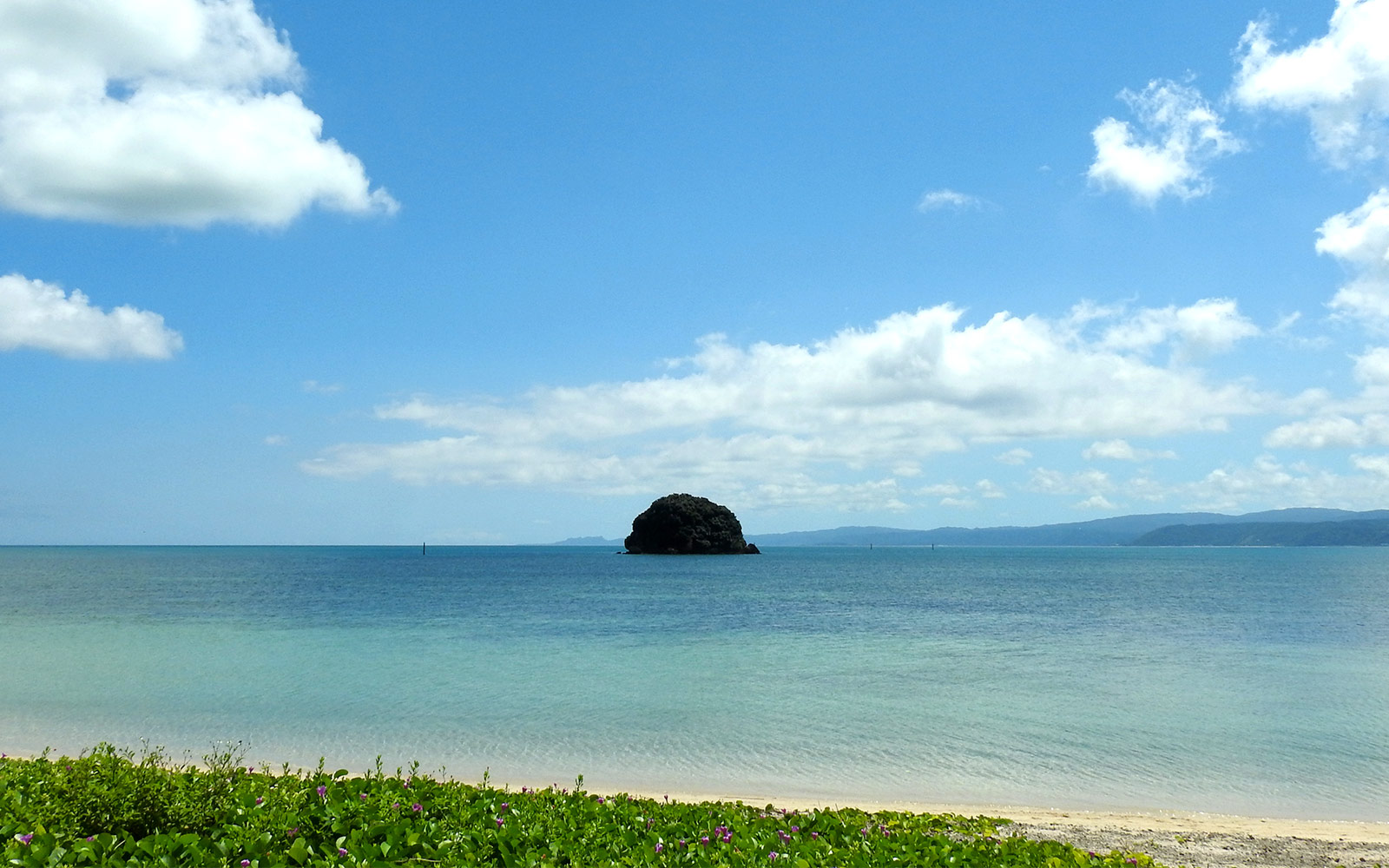 木造民家スタイルの建物